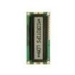NMTC-S16100XFGHSAY-10 LCD Character Display Modules & Accessories
