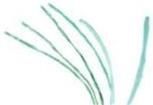 Q-PTFE-14AWG-02-QB48IN-25  Wire & Cable