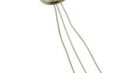 NTE5429 SCRs