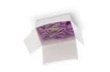 KDS16112P  Tools & Supplies