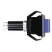 30-017-A-04 Pushbutton Switches