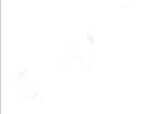 1265.2004  Optoelectronics
