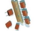 95011600000 Fuses with Leads - Through Hole