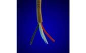 1131C SL005 Multi-Conductor Cables