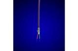 6462 VI005 Multi-Conductor Cables