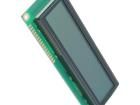 RC1602E-GHY-ESV LCD Character Display Modules & Accessories