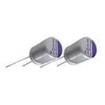 100SXE15MX  Passive Components