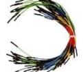 920-0067-50 Jumper Wires