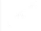 1265.2003  Optoelectronics