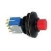 P4-20002 Pushbutton Switches