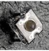 CP41B-RFS-CL0P0EE4 Standard LEDs - Through Hole