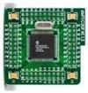 MIKROE-24 Daughter Cards & OEM Boards