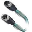 1569566 Ethernet Cables / Networking Cables