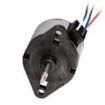 80910002 Stepper Motors