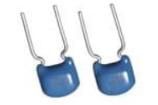 FK28C0G2A102JN006  Passive Components
