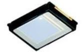 SFH 2200  Optoelectronics