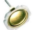 EDM450SACLFS Tactile Switches