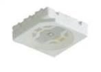 IN-P32AT5UW  Optoelectronics