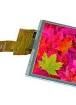 EA TFT043-42ATP TFT Displays & Accessories