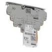 2906753  Circuit Protection
