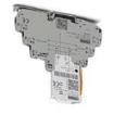 2906811  Circuit Protection