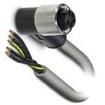 1443776 DC Power Cords