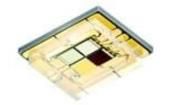 LE RTDCY S2WN  optoelectronics