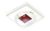GF CSHPM2.24-4S2T-1-0  Optoelectronics