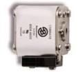 170M3818D Specialty Fuses