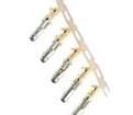 SS20M1G10 Standard Circular Contacts