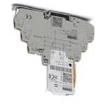 2906817  Circuit Protection
