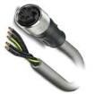 1443705 DC Power Cords