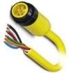 1416859 Sensor Cables / Actuator Cables