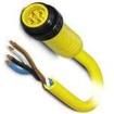 1416623 Sensor Cables / Actuator Cables