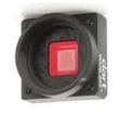 106696  Optoelectronics