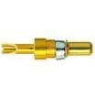 09692815821  Connectors