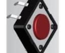 DTS-644R-V Tactile Switches