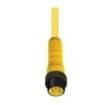 RS 50-794/6F  Wire & Cable