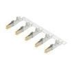 42815-0144 (Cut Strip) electronic component of Molex