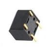 RBS170200T Tilt Switches