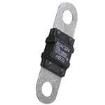 AMI-30 Automotive Fuses
