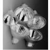 58309 Lamps