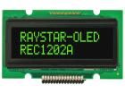REC001601AGPP5N00000 electronic component of Raystar