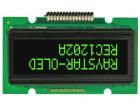 REC001601AGPP5N00000  Optoelectronics