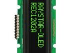 REC001601AGPP5N00000 OLED Displays & Accessories