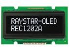 REC001601AWPP5N00000 electronic component of Raystar