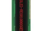 REG010008ARPP5N00000 OLED Displays & Accessories