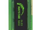 REG010032AGPP5N00000 OLED Displays & Accessories