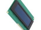 REG010032ARPP5N00000 OLED Displays & Accessories