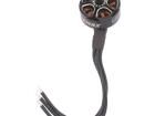 EMX-LS2206-1 2700KV BLDC Motors